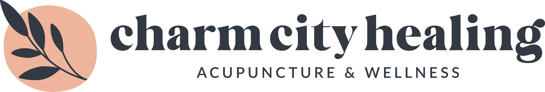 Charm City Healing